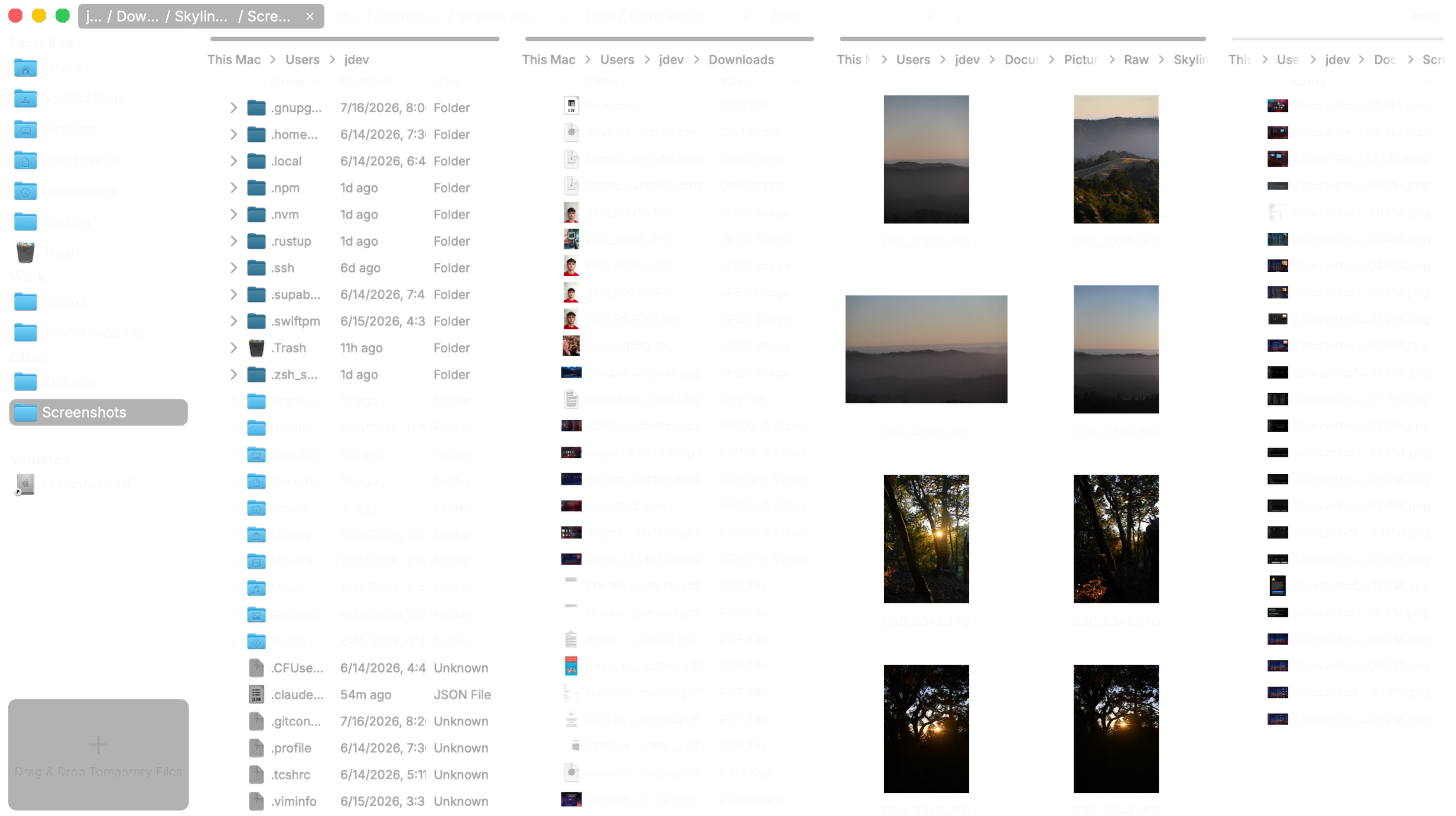 Cosmil split into four panes, the fourth a narrow screenshots list showing only file names